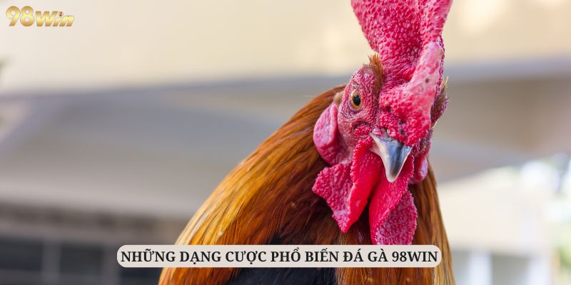 Có 3 dạng cược chính tại đá gà 98Win