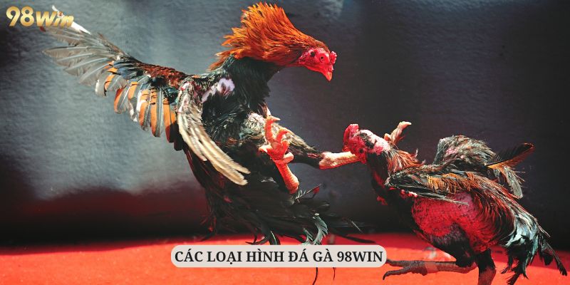 các loại hình đa dạng tại đá gà 98Win