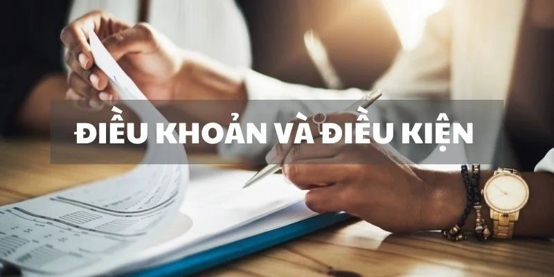 Điều kiện điều khoản về vi phạm